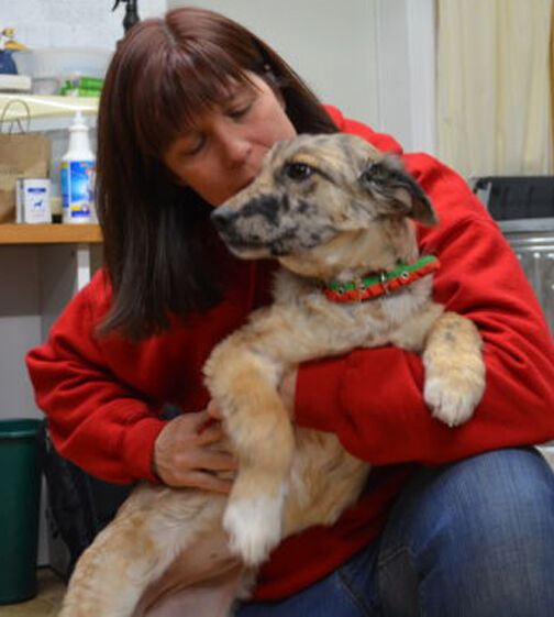 Carley at Noah's Hope Animal Rescue